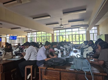 Workshop Session