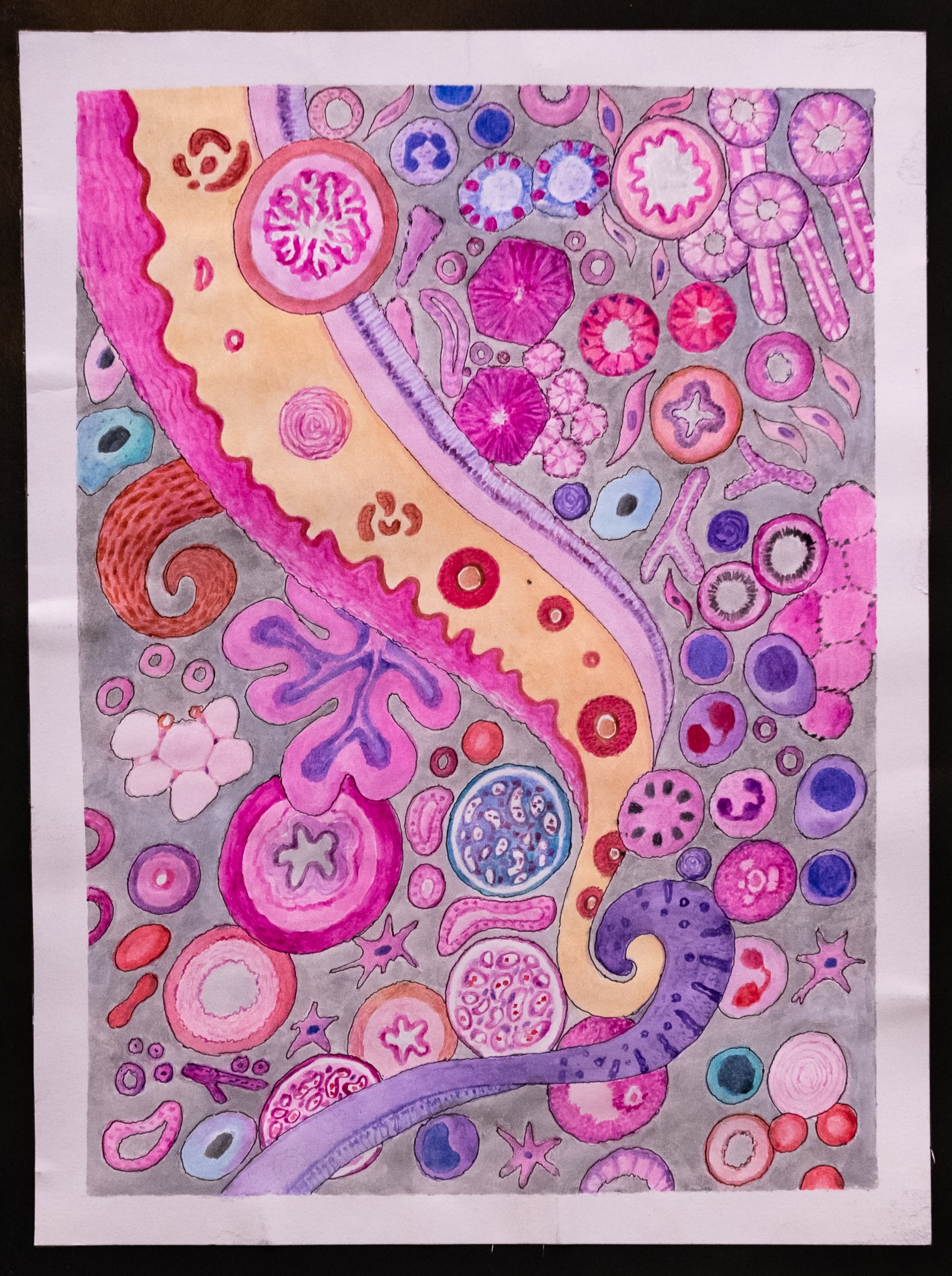 ‘Beautiful world of Histopathology’ by Dr W A J Dissanayaka