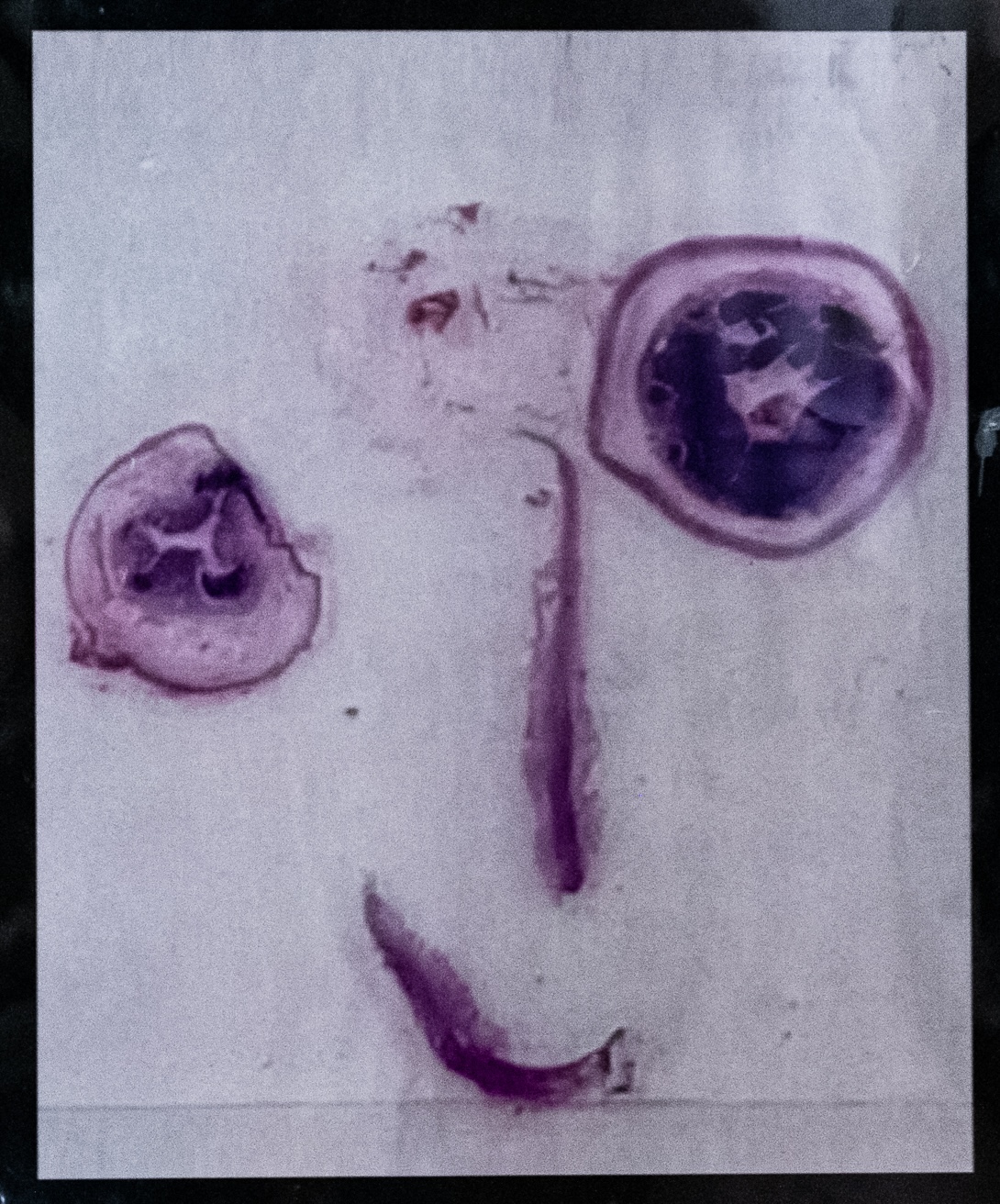 ‘Photography’ by Dr Vinothika Sivamayuran